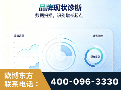 张掖-品牌现状诊断